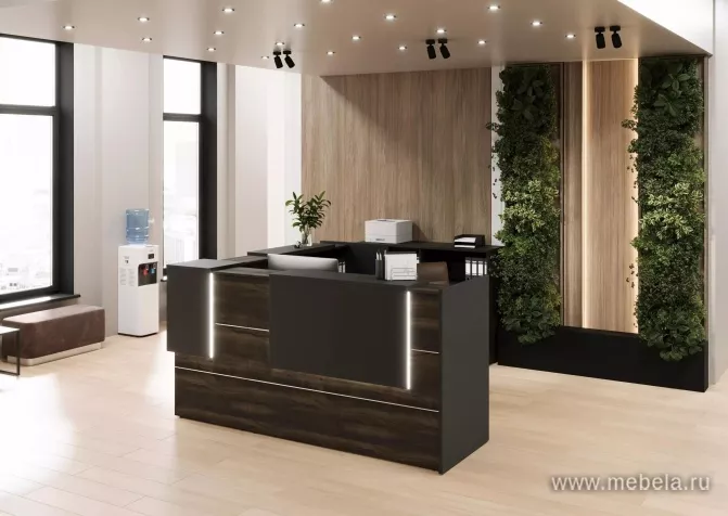 ресепшн Оникс Мали