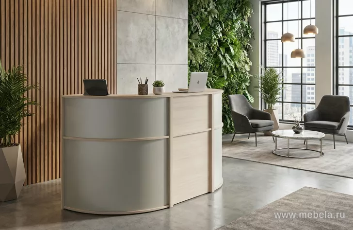 ресепшн Агат Ясень