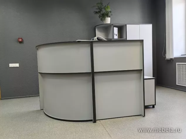 ресепшн Агат Серый