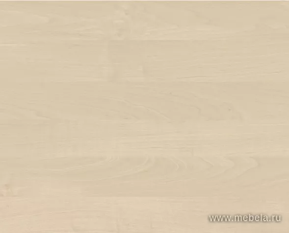 ресепшн Рива Клён М