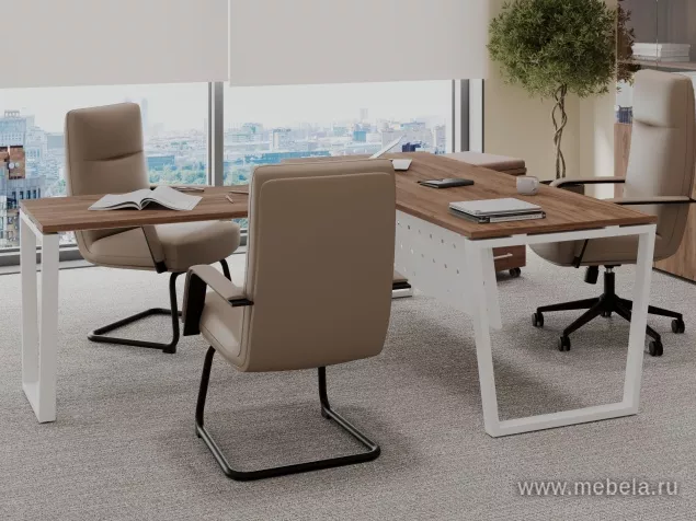 кабинет Проджект Дуб Т