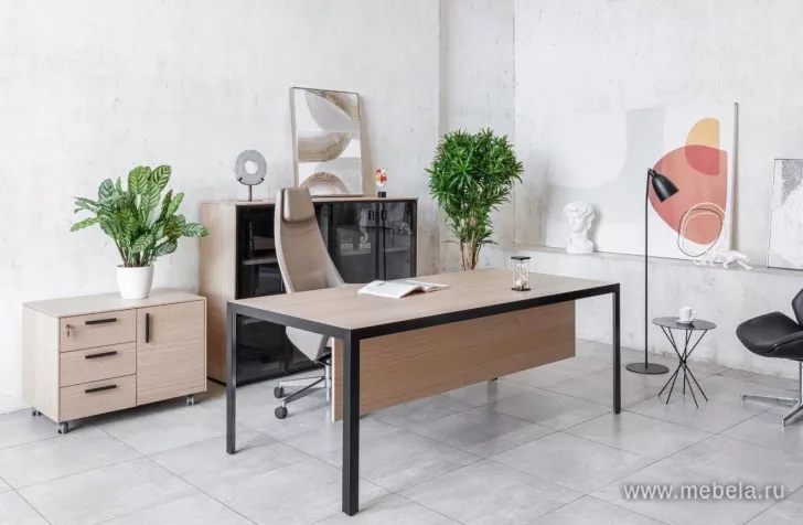 кабинет Энцо Блэк