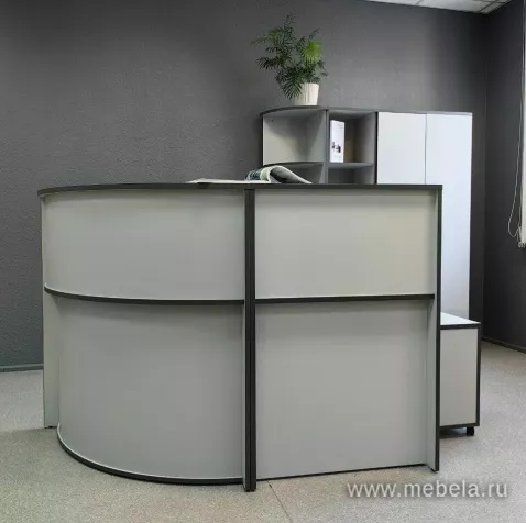 ресепшн Агат Серый