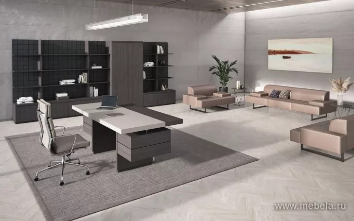 кабинет Антей