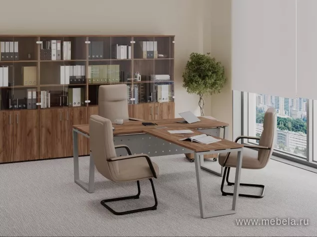 кабинет Проджект Дуб Т