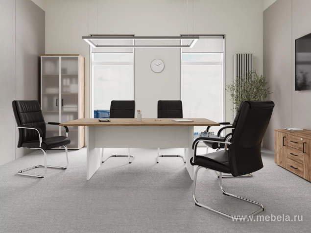 кабинет Проджект Дуб Т